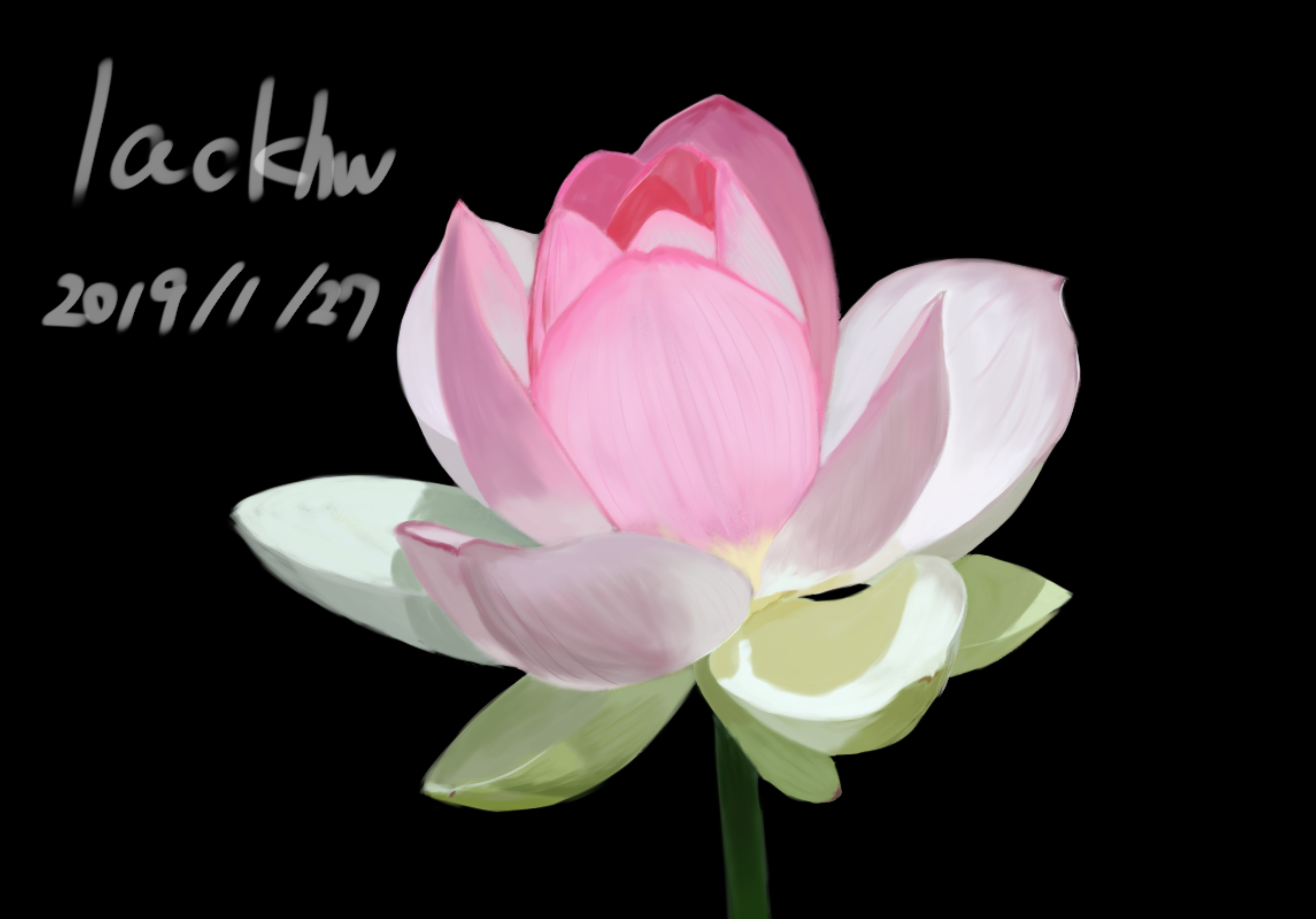 lack花